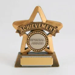 Achievement Star Trophy