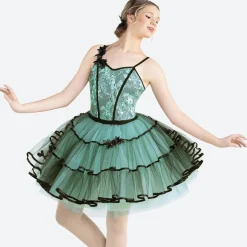 Revolution 'Le Corsaire' Dance Costume