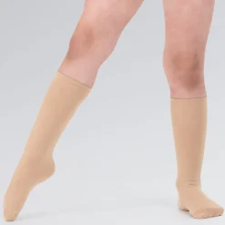 Shades Dancewear Ballet Socks 60 Denier