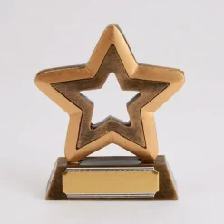 Star Outline Resin Trophy