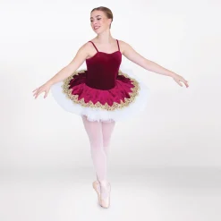 1st Position Goldwork Applique Velour Tutu