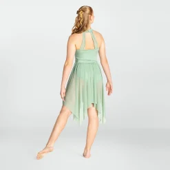 1st Position High Neck Stretch Mesh Dress with Seam Detail